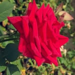 eman lotfi - @emanlotfi - Instagram