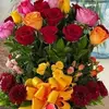 Emanabdltuf23@gmail.com - @emanlotfi415 - TikTok