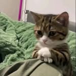 Eman Omar - @emanomar994 - Instagram