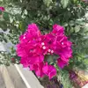 Eman Omar - @eman.omar056 - TikTok