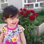 eman_osman - @eman_osman5560 - Instagram