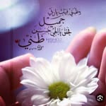 Eman Osman - @eman_osman17 - Instagram