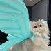 Eman Ramadan - Facebook