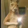 Emanuel Alfaro - @emanuel.alfaro04 - TikTok