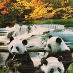 Emanuel Benson - @emanuelbenson18 - Instagram