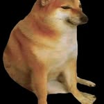 Emanuel Betancourt - @3mcidio - Instagram