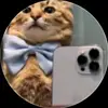 ️ - @emanueldelgado695 - TikTok