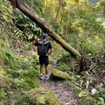 Emanuel Francisco - @emanuelffrancisco - Instagram