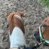 Emanuel Galván - @galvanlanderos23 - TikTok