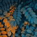 Emanuel Hirsch - Facebook