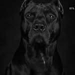 Emanuel Howard - @emanuelhoward9178 - Instagram