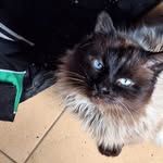 Emanuel Ion Emanuel Ion - @emanuelionemanuel - Instagram