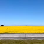 Emanuel Kaiser - @emakaiser285 - Instagram