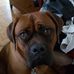 Emanuel Medeiros - Facebook