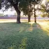 Emanuel Miranda - @emanuel.miranda98 - TikTok