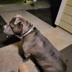 Emanuel Murray - @mannyfreshbloodline905 - Instagram
