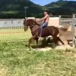 Emanuel Pagan - @pagan4358 - Instagram