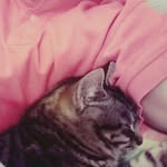 Emanuel Serrano - @gil.2008 - Instagram