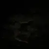 Emanuel - @emanuel.varga_ - TikTok