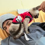 Emanuel Vila - @vila_e_c - Instagram