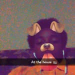 emanuel woods - @emanuel.woods.16 - Instagram