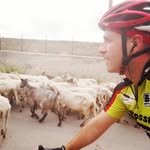 Emanuele Bertinelli - @emanuele_bertinelli82 - Instagram