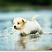 Ember Anderson - Facebook