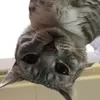 user1718801031888 - @ember_anderson_ - TikTok