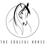 Ember Johnson - @the_soulful_horse - Instagram