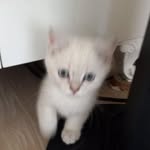 Emel Aygün - @emel.aygun.129 - Instagram