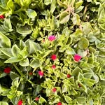 Emel AYGÜN - @emelaygun14 - Instagram
