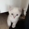 Emel Aygün - @emel.aygn83 - TikTok