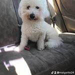 Emelda Lopez Rivera - @emelda.lopez.56 - Instagram