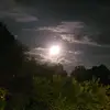 Emelia Juarez317 - @emeliajuarez317 - TikTok