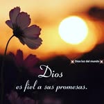 Emelia Rodríguez - @emeliarodriguez58 - Instagram