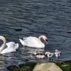 Emelie Persson - @emelie.persson6 - TikTok