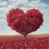 emely_alio - @emely_alio - TikTok