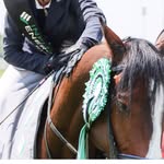 Emily Jackson - @emily_jackson_eq - Instagram