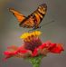 Emely Jimenez - Facebook