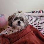 Emely Marquez - @emelym1102 - Instagram