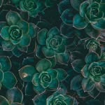 Emerald Clay - @emeraldpearlsthrifts - Instagram