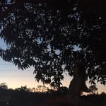 ~Brooke~ - @emeraldhart08 - Instagram