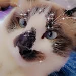 Emerald lopez - @snowflakecat_321 - Instagram