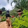 Emerald Morales - @esmeraldauser83553 - TikTok