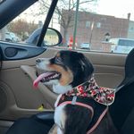 Emerald_thompson - @emerald_thompson4 - Instagram