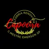 Emerson Araujo - @emerson.araujo02 - TikTok