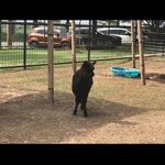 Emerson Hart - @emerson_wizardrl - Instagram