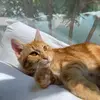 emerson may🤩😽 - @emerson_may - TikTok