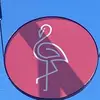 darcymorseemerson - @darcymorseemerson - TikTok