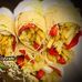 Omari Burger - Facebook